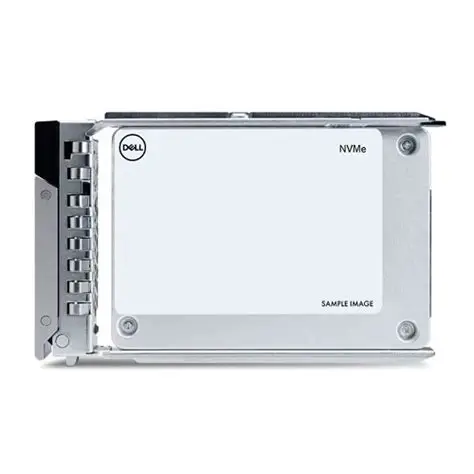 Dell 960GB SSD NVMe lecture intensive AG Gen4 U2 avec boîtier